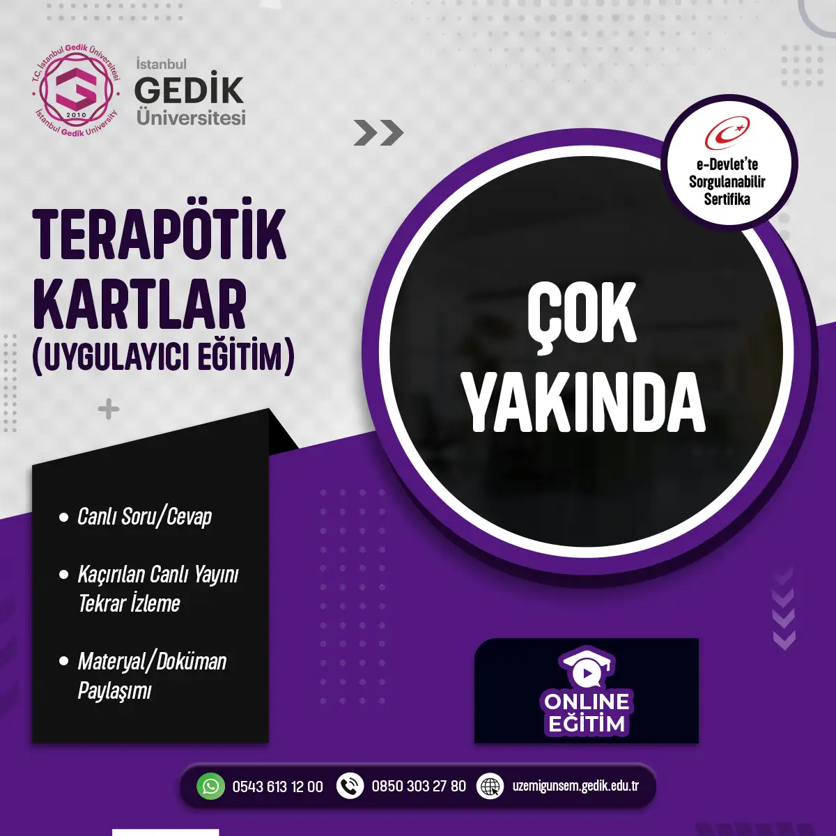 Terapötik Kartlar Sertifika Programı (Uygulayıcı Eğitim) (CANLI)