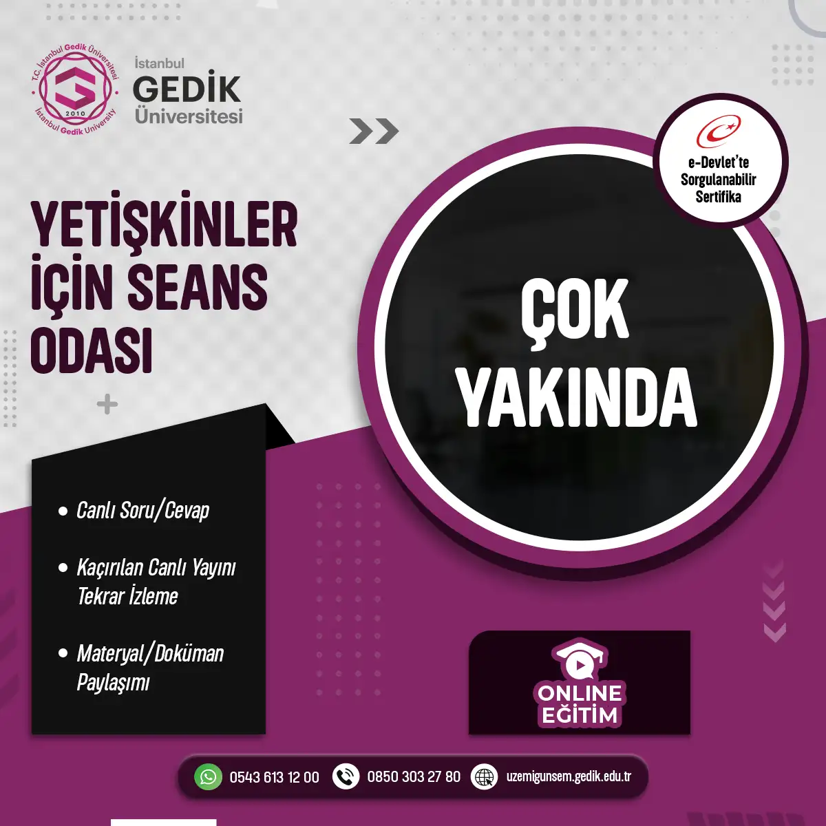 Yetişkinler İçin Seans Odası Eğitimi Sertifika Programı(CANLI)