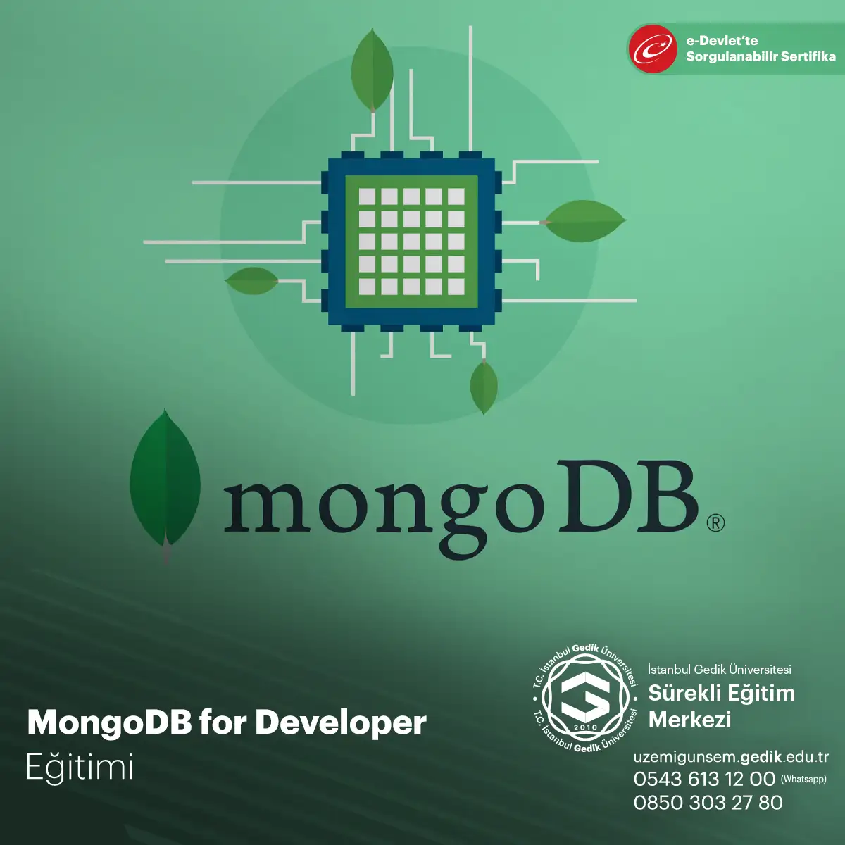 MongoDB for Developer Eğitimi 