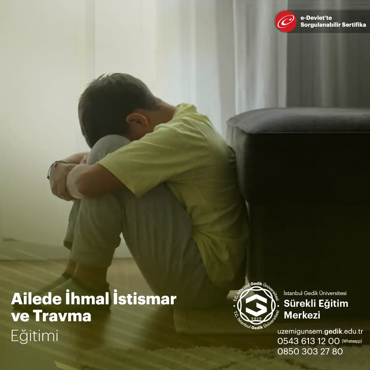 Ailede İhmal İstismar ve Travma Eğitimi Sertifika Programı