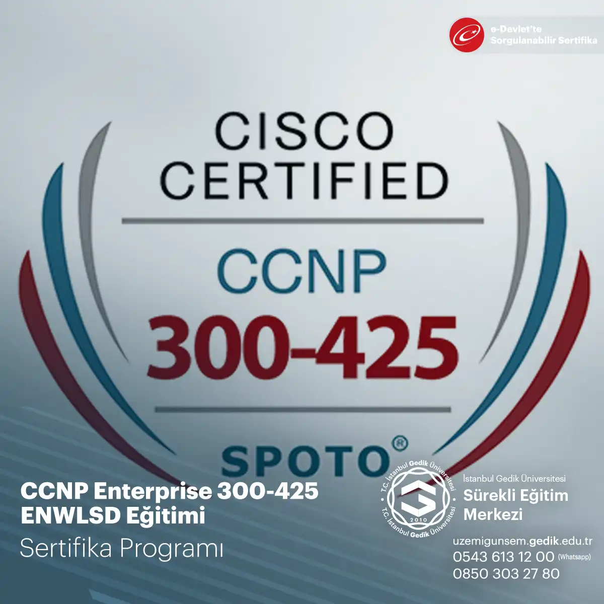 CCNP Enterprise 300-425 ENWLSD Eğitimi 