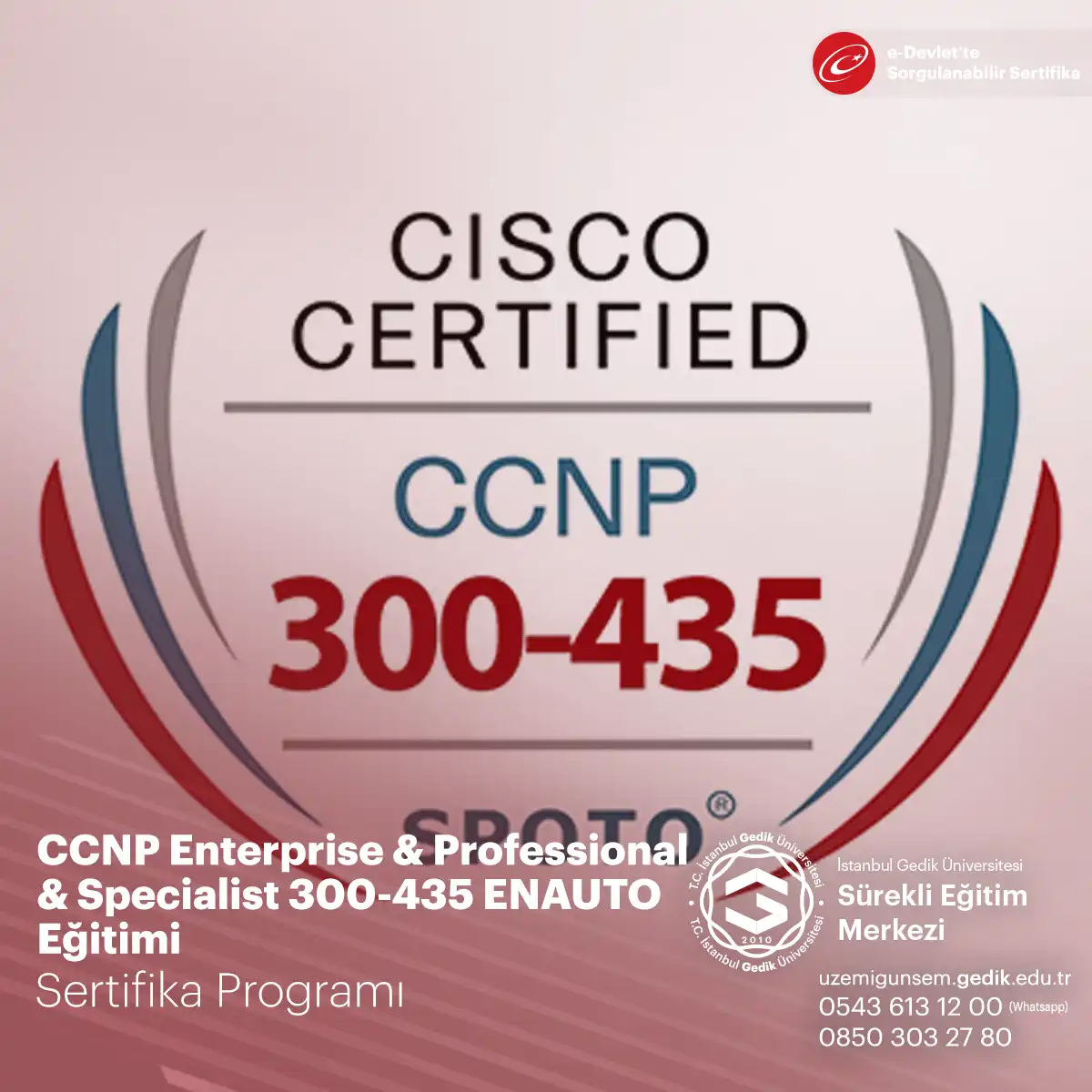 CCNP Enterprise & Professional & Specialist 300-435 ENAUTO Eğitimi 