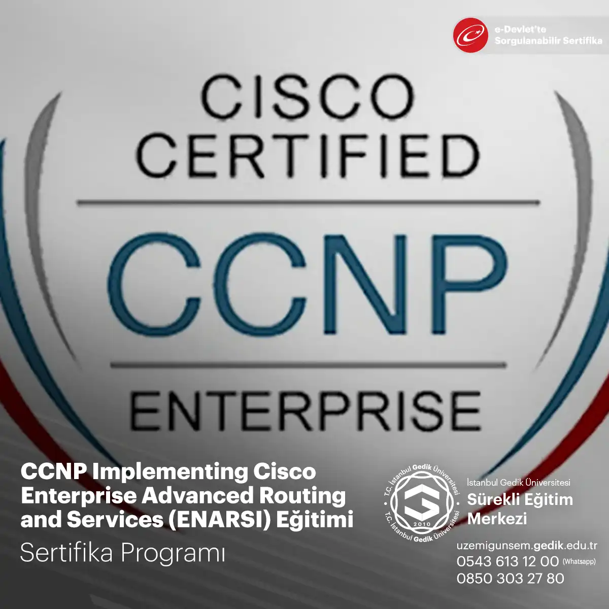 CCNP Implementing Cisco Enterprise Advanced Routing and Services (ENARSI) Eğitimi 