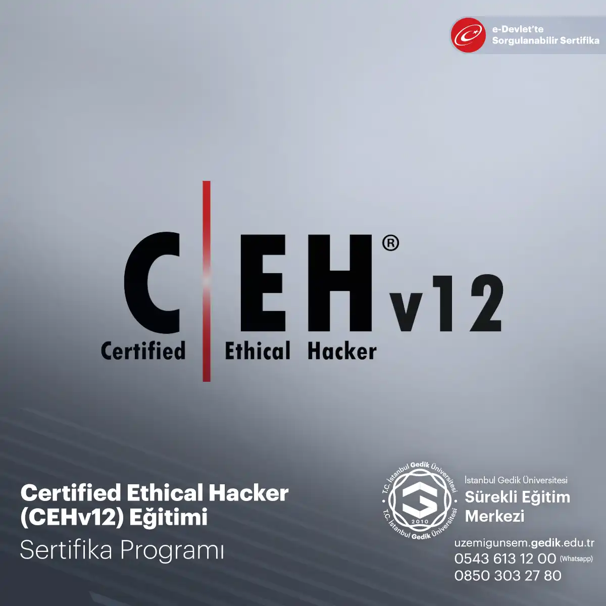 Certified Ethical Hacker (CEHv12) Eğitimi 
