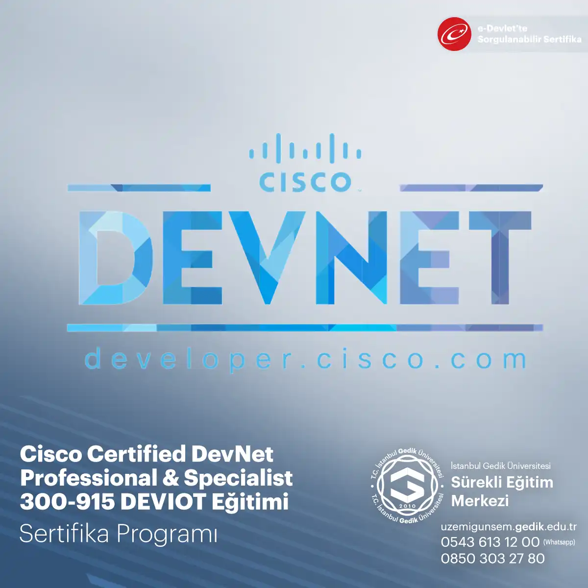 Cisco Certified DevNet Professional & Specialist 300-915 DEVIOT Eğitimi 