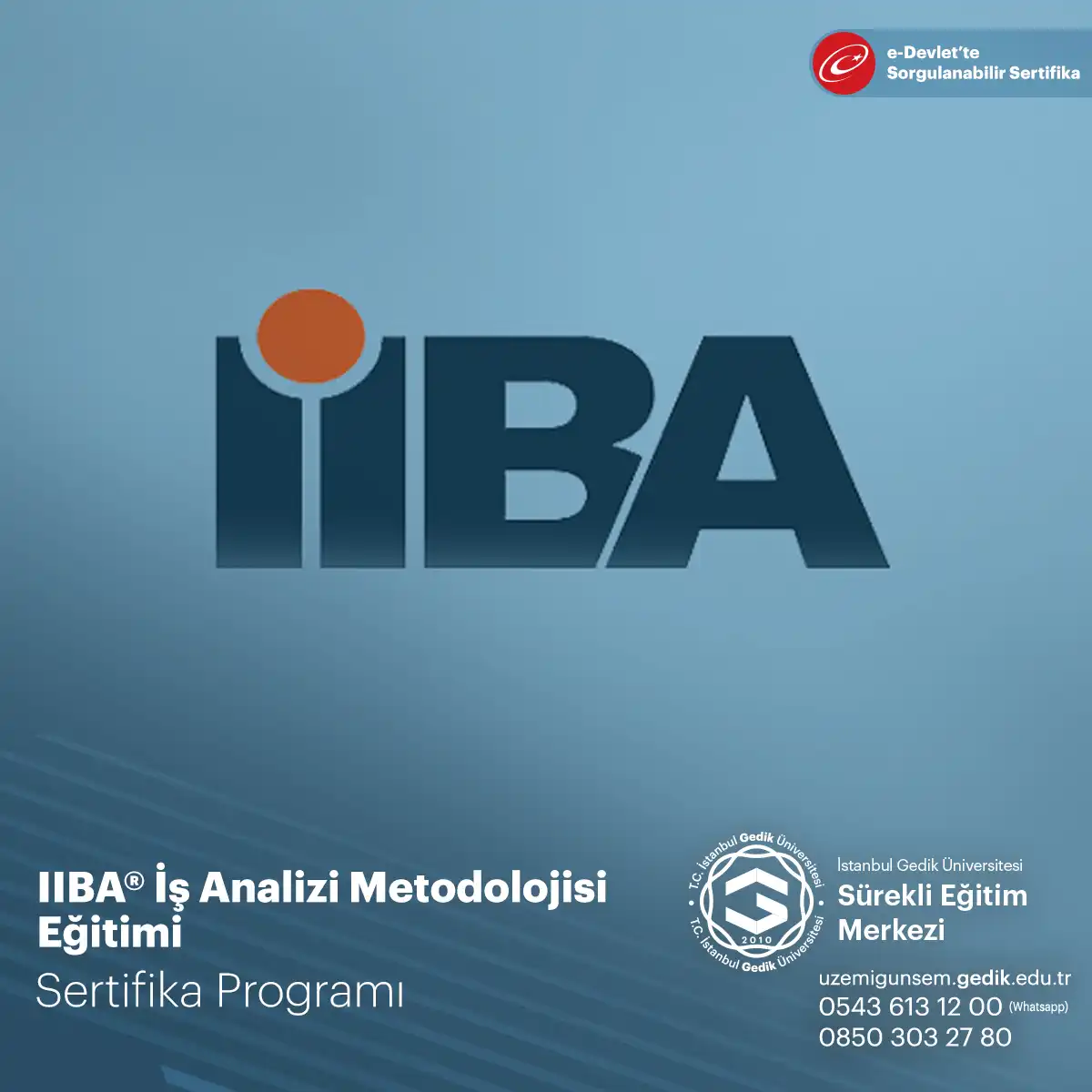 IIBA® İş Analizi Metodolojisi  Eğitimi 