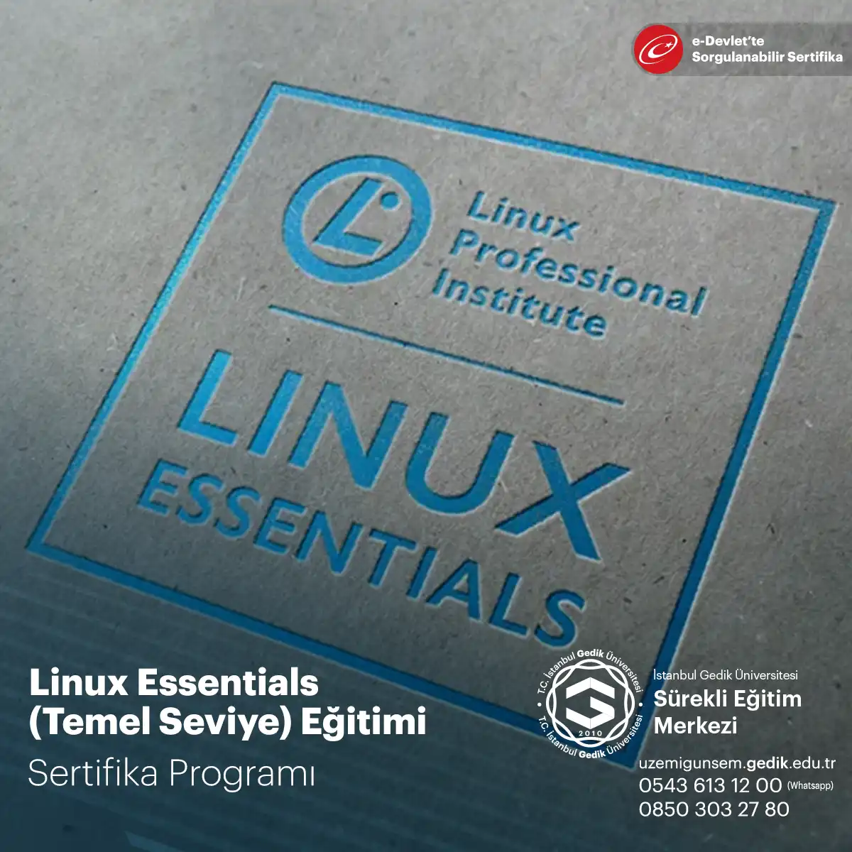 Linux Essentials (Temel Seviye) Eğitimi 