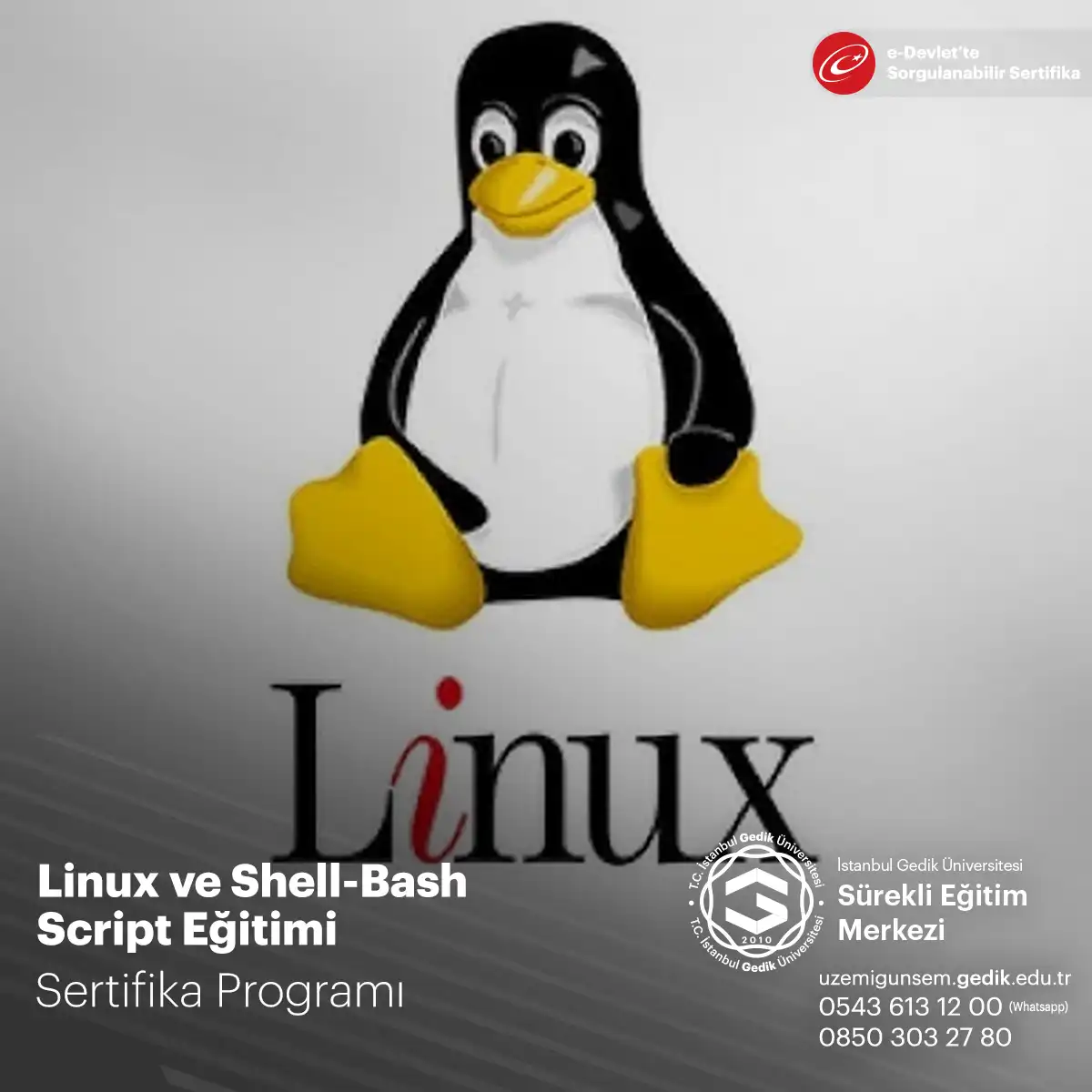 Linux ve Shell-Bash Script Eğitimi 