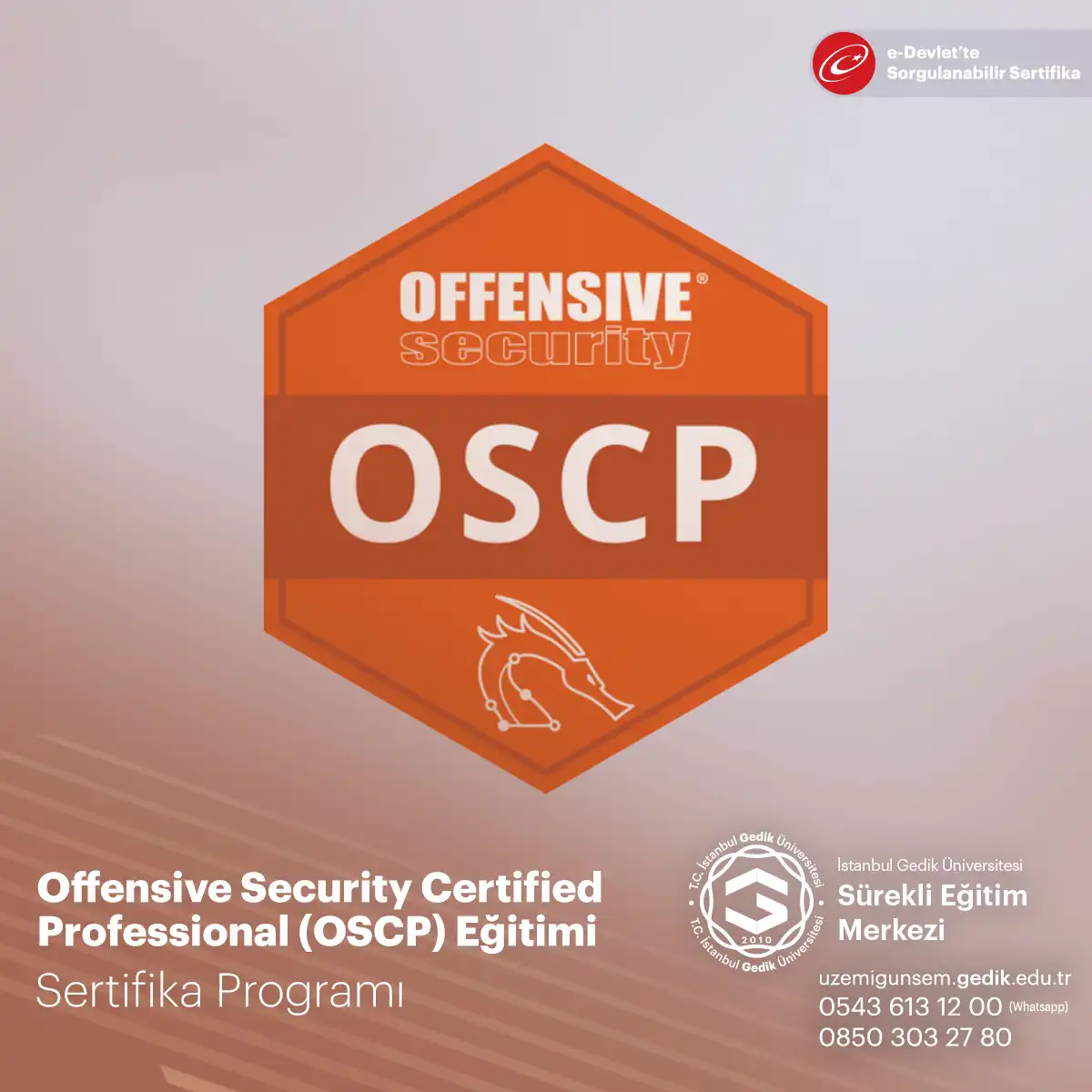 Offensive Security Certified Professional (OSCP) Eğitimi 