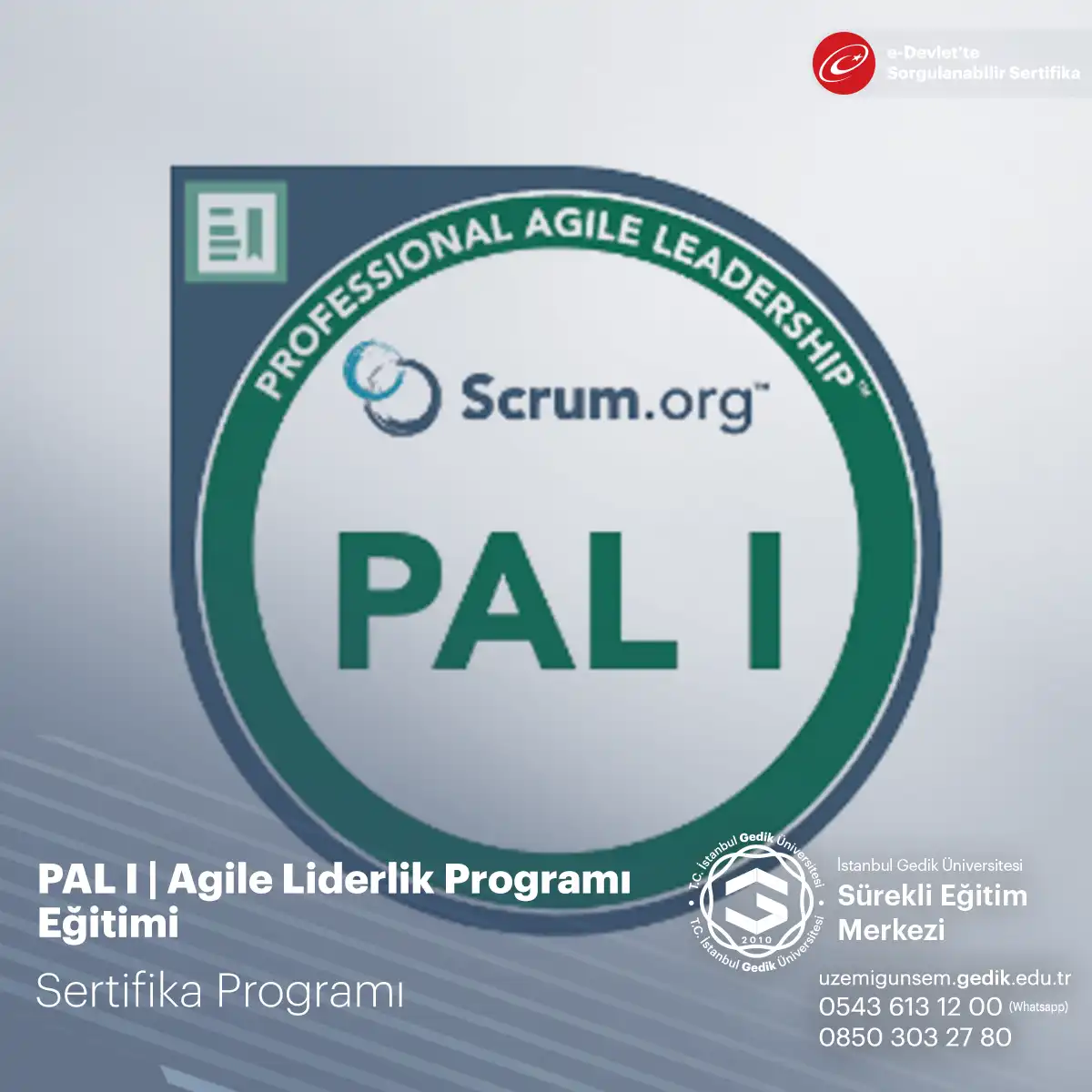 PAL I | Agile Liderlik Programı Eğitimi 