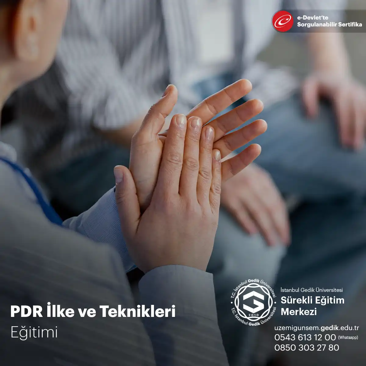 Pdr İlke ve Teknikleri Eğitimi Sertifika Programı