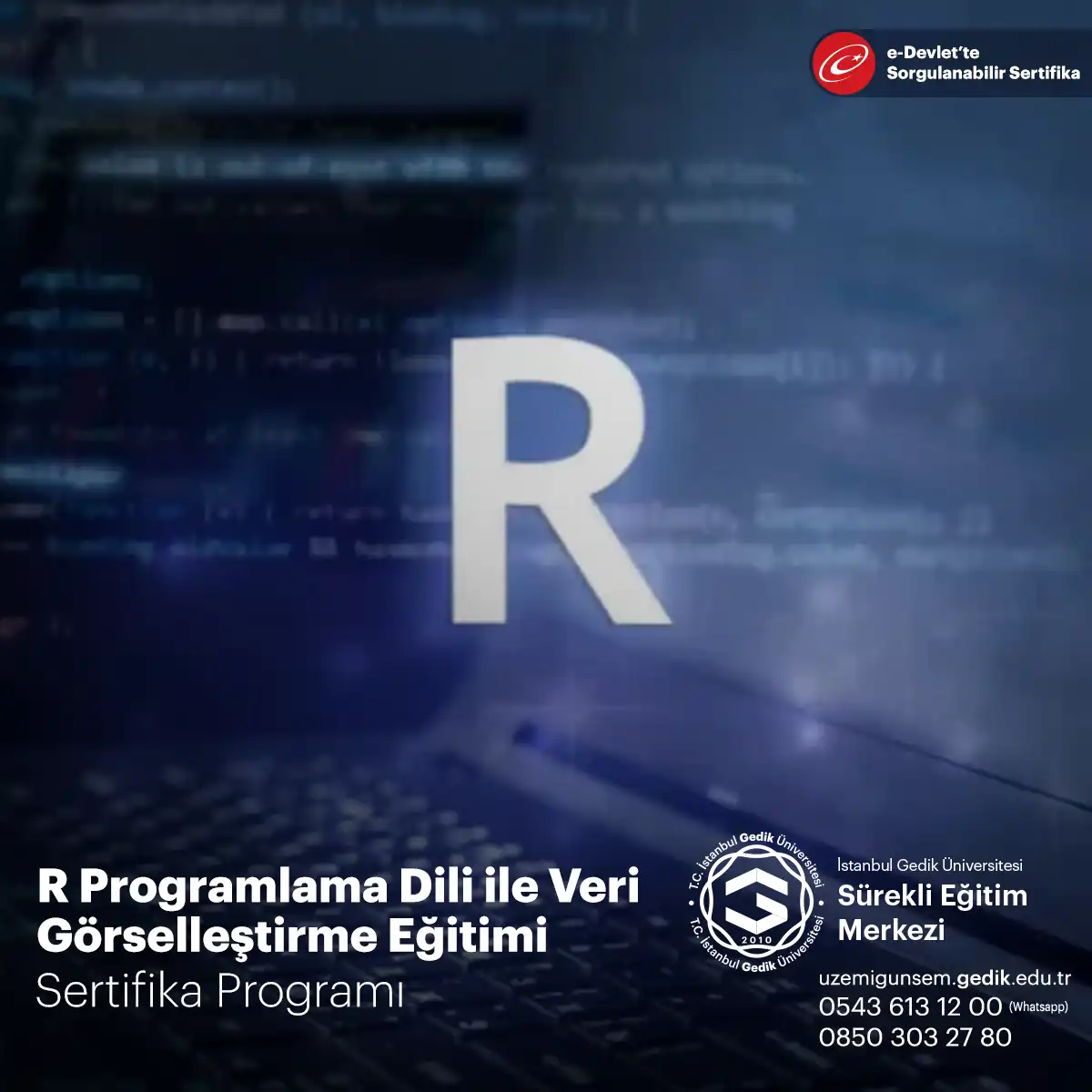 R Programlama Dili ile Veri Görselleştirme Eğitimi 