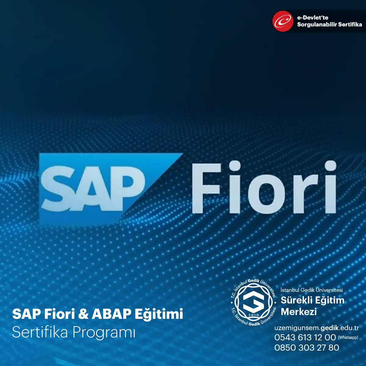 SAP Fiori & ABAP Eğitimi 