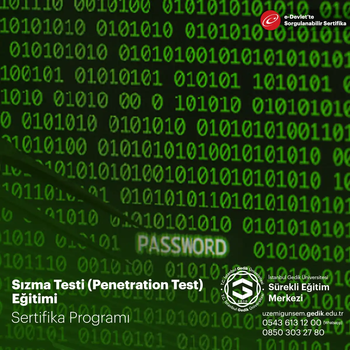 Sızma Testi (Penetration Test) Eğitimi 