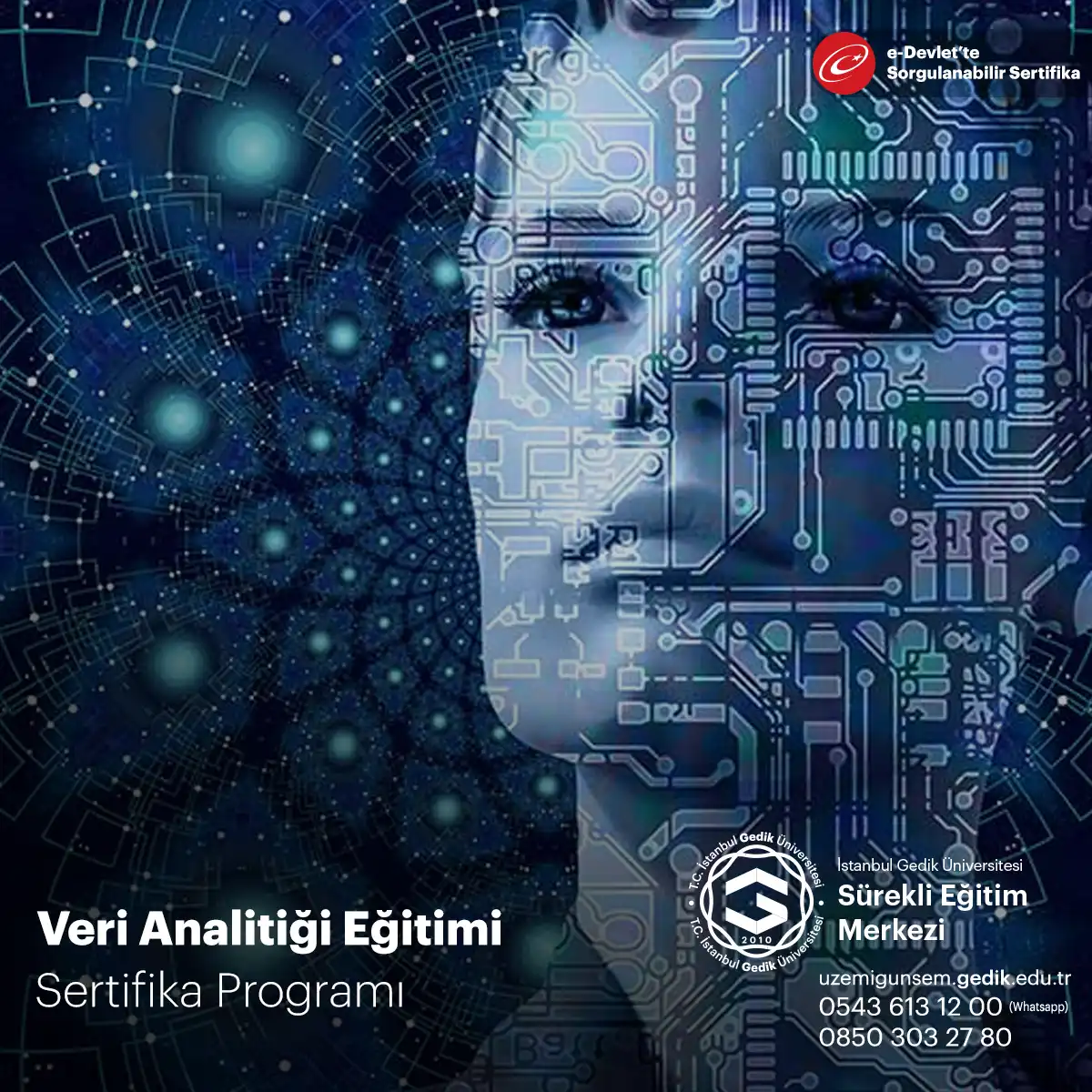 Veri Analitiği Eğitimi 