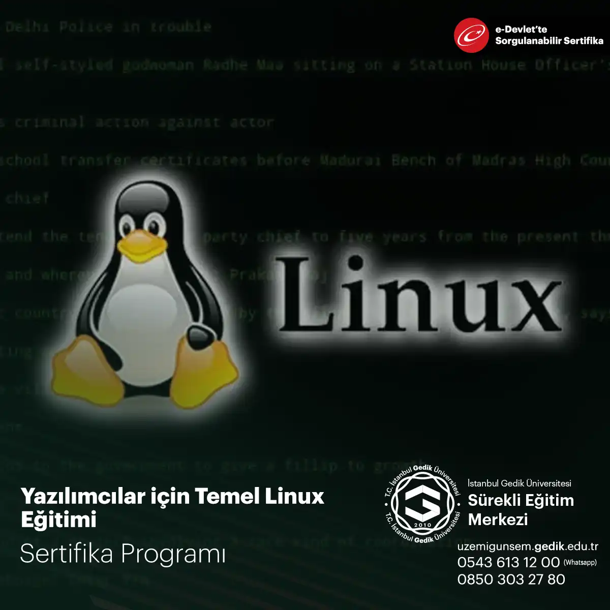 Yazılımcılar için Temel Linux Eğitimi 