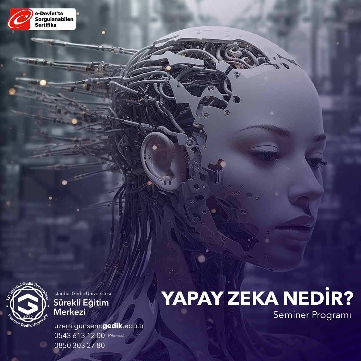 Yapay Zekayı Anlamak Semineri