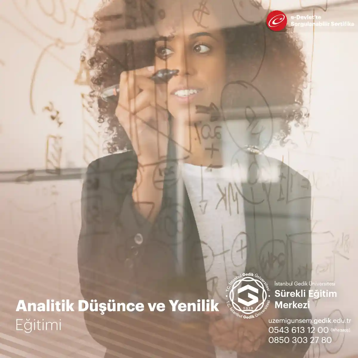 Analitik Düşünce ve Yenilik Eğitimi