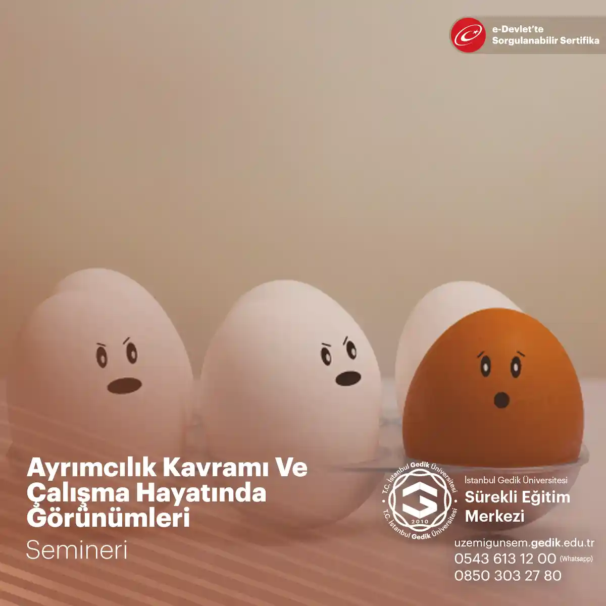 Ayrımcılık Kavramı ve Çalışma Hayatında Görünümleri Semineri