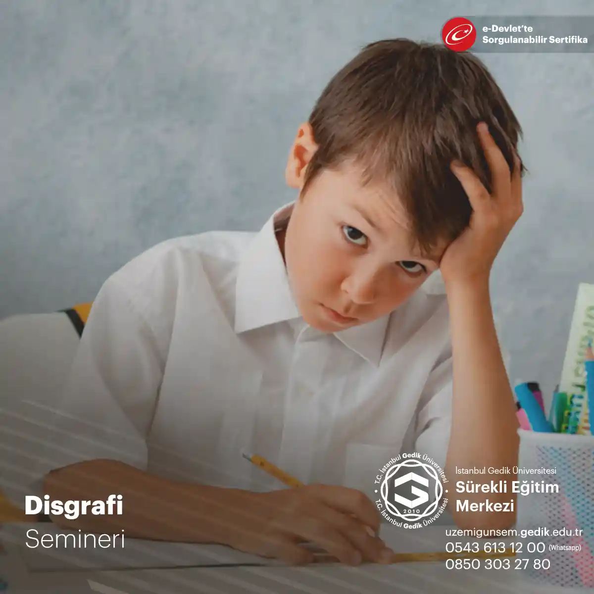 Disgrafi Semineri