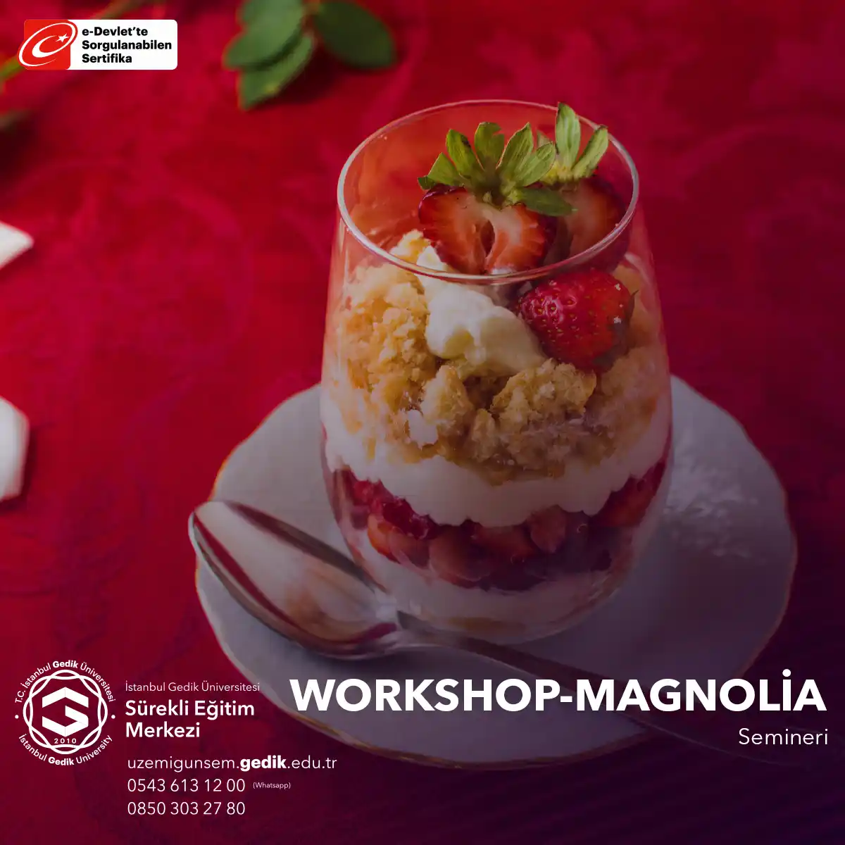 Workshop - Magnolia