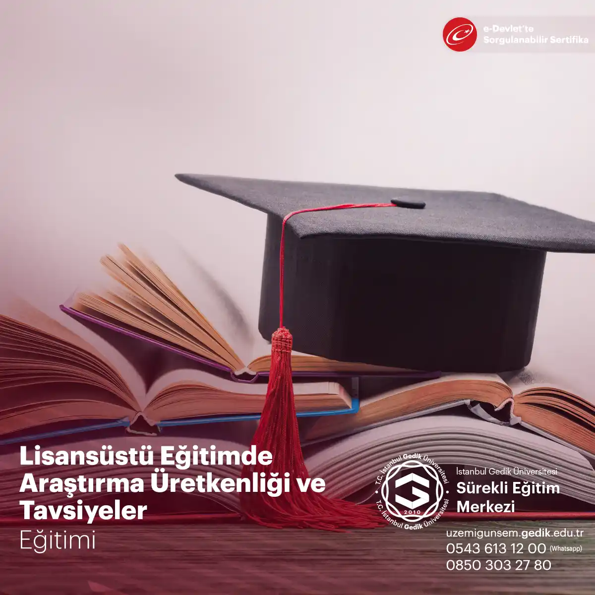 Lisansüstü Eğitimde Araştırma Üretkenliği ve Tavsiyeler İngilizce