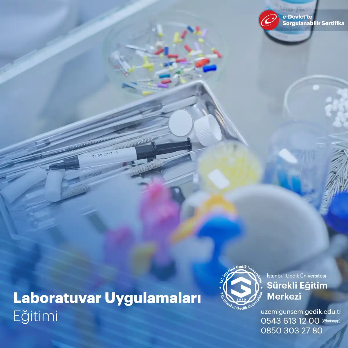 Laboratuvar Uygulamaları Sertifika Programı
