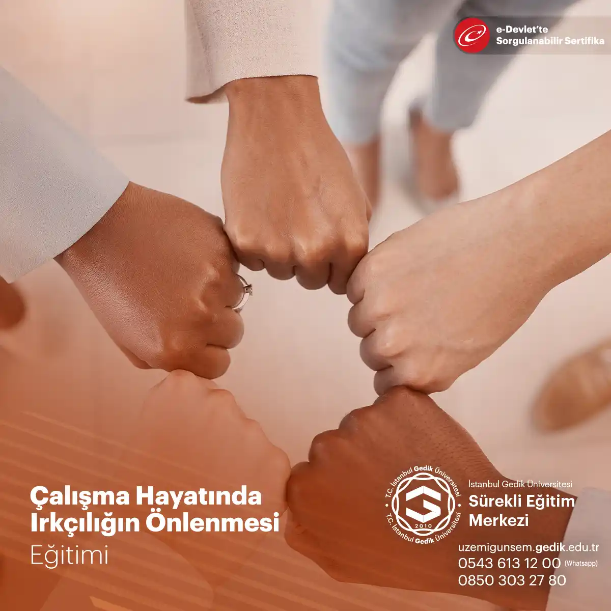 Çalışma Hayatında Irkçılığın Önlenmesi Sertifika Programı