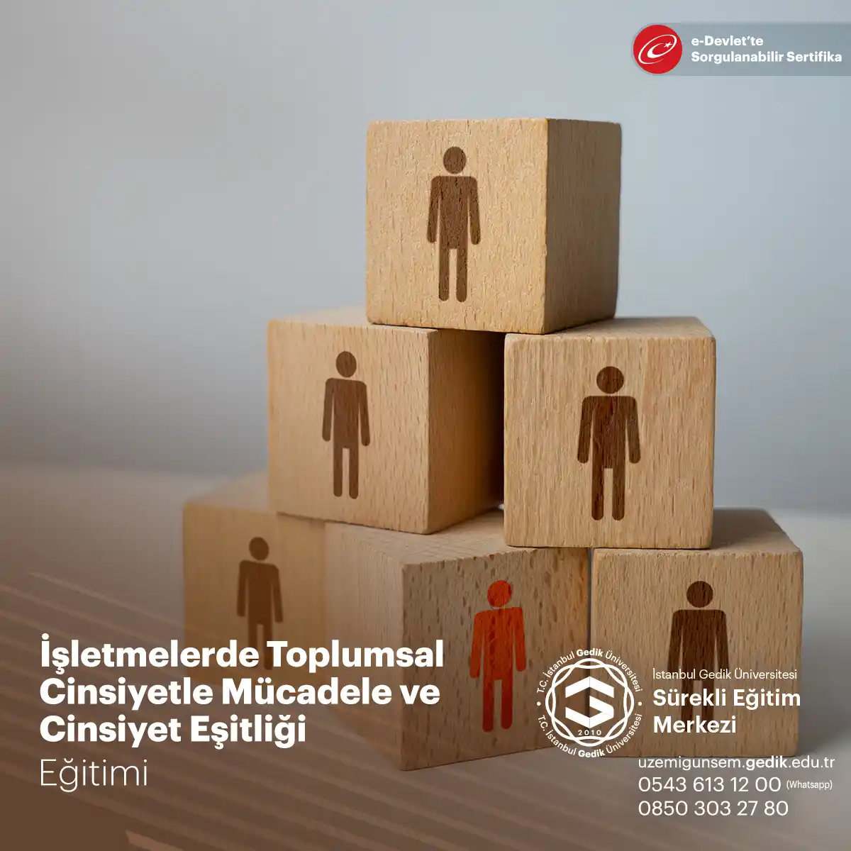 İşletmelerde Toplumsal Cinsiyetle Mücadele ve Cinsiyet Eşitliği