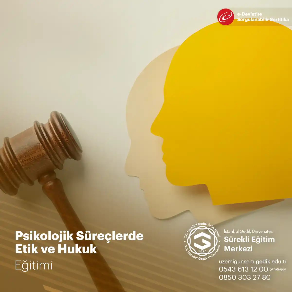 Psikolojik Süreçlerde Etik ve Hukuk Sertifika Programı